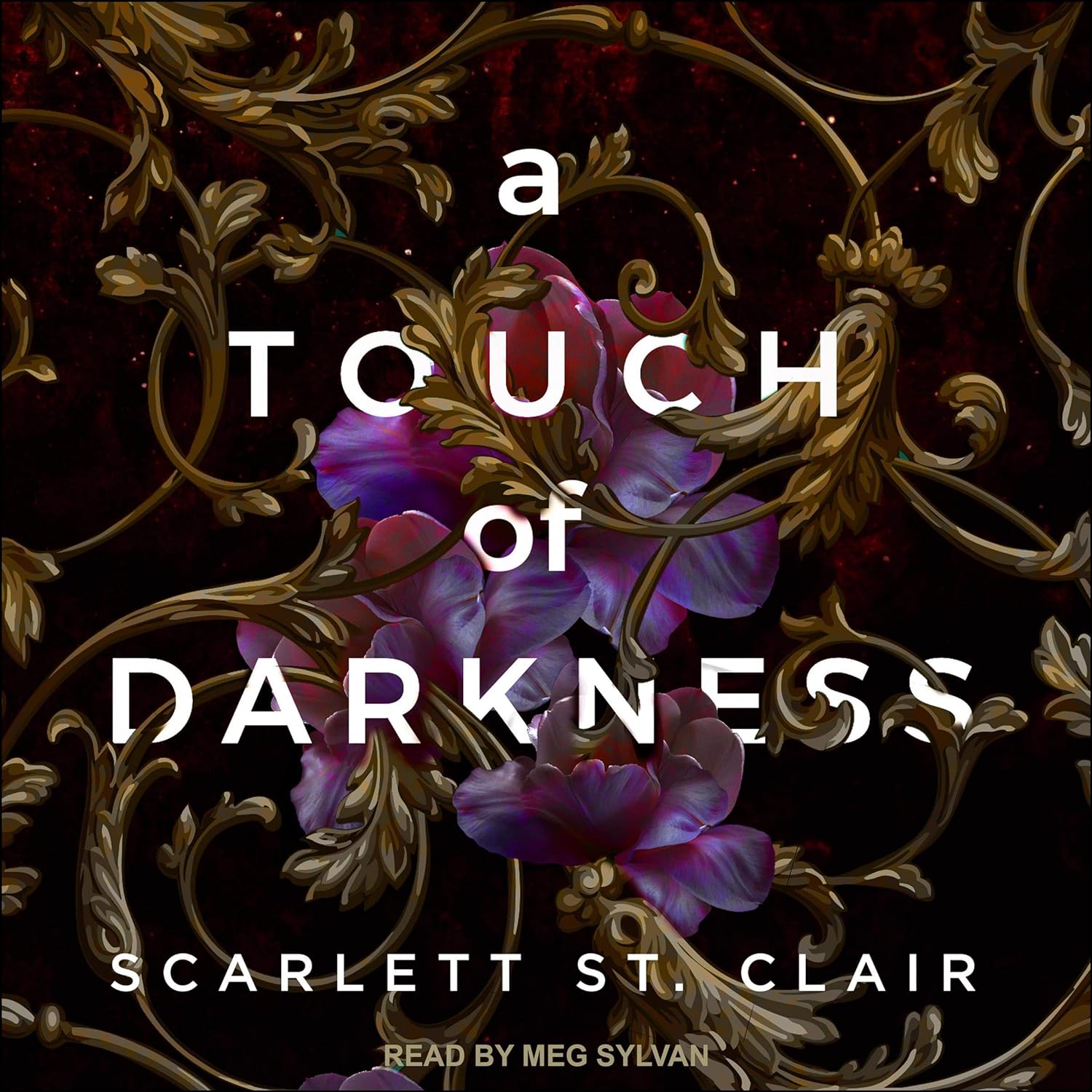 A Touch of Darkness cover